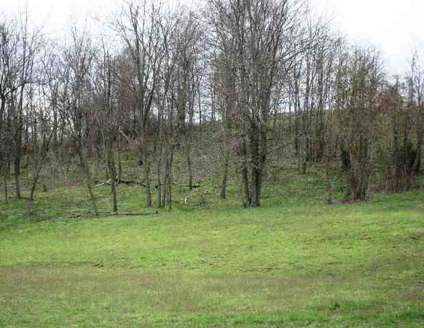 922 Minnicks Johnson Road - photo 5
